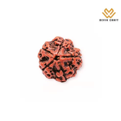 Pure Parad Shivling with Free Leb Tested 5 Mukhi Nepali Rudraksha -Div ...