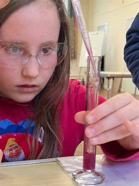 Image result for Practical Science Lesson