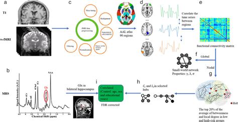 Image result for Workflow of First Level Analysis