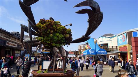 Fisherman's Wharf | Marin RV Park