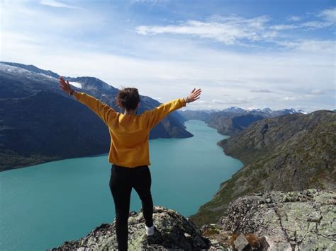 Image result for Erasmus Programme Tips