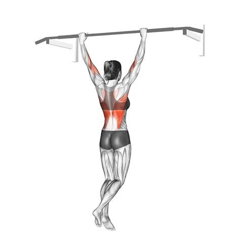 Image result for Pull Up Variations
