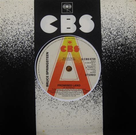 Image result for Promised Land Springsteen Tribute Band