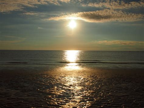 Black Swamp Cornucopia: First Encounter Beach, Cape Cod, Massachusetts