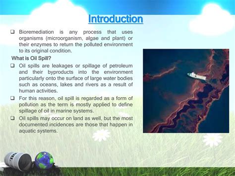 Bioremediation of Aquifers and Marine Oil Spills | PPTX