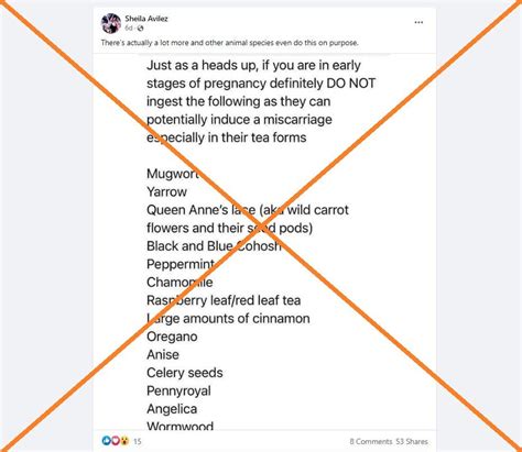 Posts share unproven abortion treatments after Roe v. Wade reversal ...