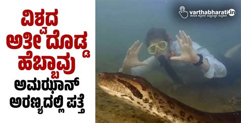 ವಿಶ್ವದ ಅತೀ ದೊಡ್ಡ ಹೆಬ್ಬಾವು ಅಮೆಝಾನ್ ಅರಣ್ಯದಲ್ಲಿ ಪತ್ತೆ | The world's ...