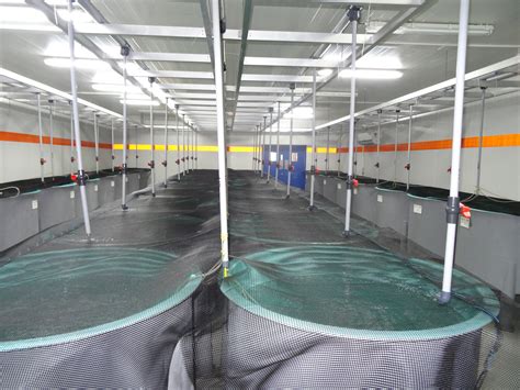 Aquatic Quarantine Facility of Rgca