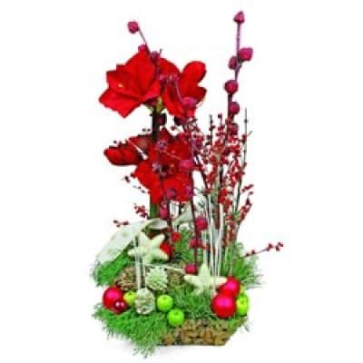 Composition with amarylis: Order Flowers Online | Interflora India ...
