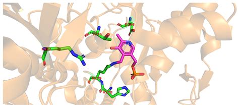Glutamate Decarboxylase | Encyclopedia MDPI