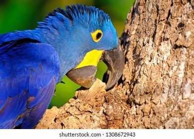Image result for Logging Software