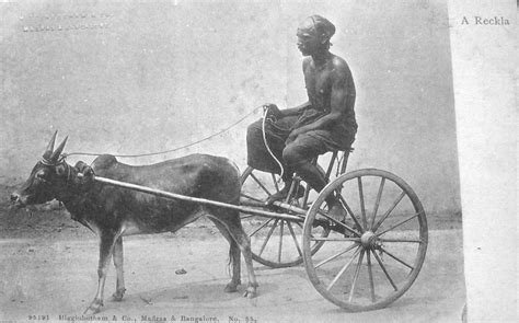 A Reckla (Small Ox Cart) - Vintage Postcard - Old Indian Photos