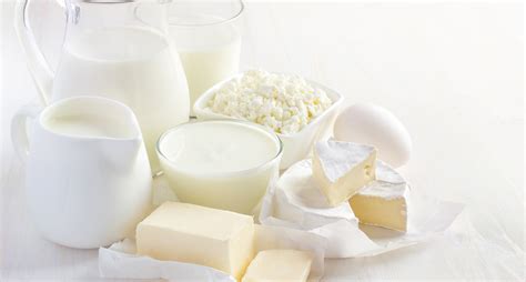 What Are Fermented Dairy Products