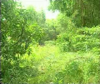 Directorate of Mines & Geology