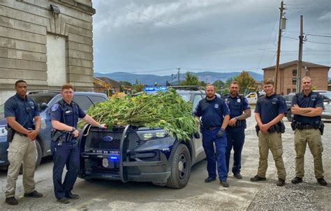 Evidence Police Photography Example 的图像结果