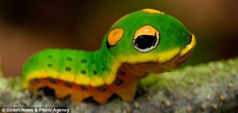 Image result for Typical Workflow to Data Analytics Python