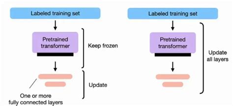 Image result for Fine-Tuning Tutorial