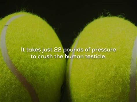 Image result for Fun Facts General Knowledge