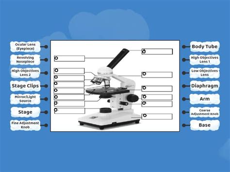 Image result for Microscope Project