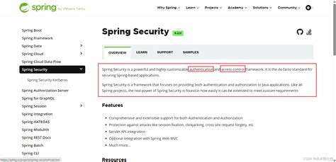 Spring Security Java 的图像结果