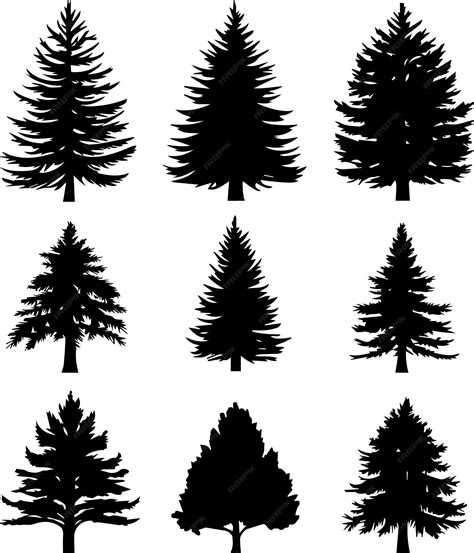 Pine Tree Outline 的图像结果