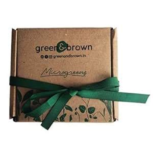 Green & Brown DIY Microgreens Seed Kit- Beetroot, Red cabbage, Radish ...