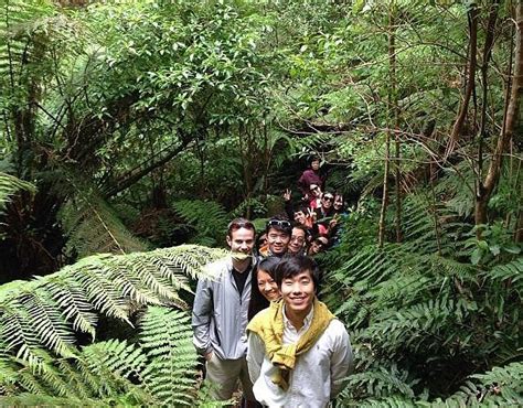 MELBOURNE BUS CHARTERS (2026) All You Need to Know BEFORE You Go (with ...