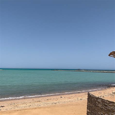 SEAVIEW TURTLES (Hurghada) - Specialty Inn Reviews, Photos, Rate ...