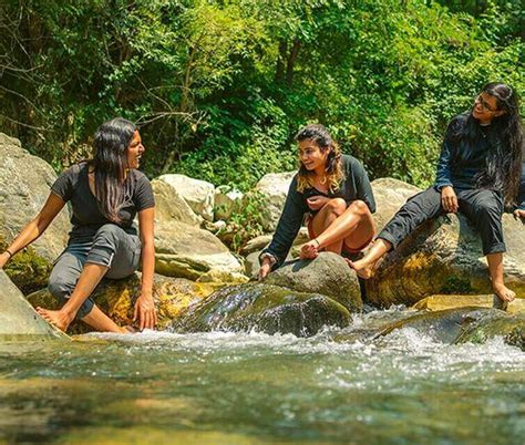 Best Places to Stay in Himachal and Goa – Whoopers