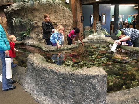 Past Projects | SEA Discovery Center