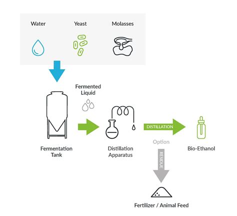 Yeast Fermentation Process Creating Materials From Unused Resources
