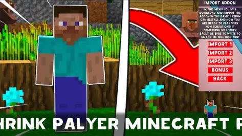Image result for How to Get Tiny Player Mod for Minecraft PC