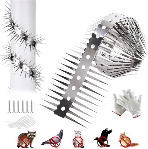 Amazon.com : Raccoon Spikes Deterrent,Keep Squirrel Pigeon Crow Away ...