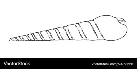 Image result for Shell Template