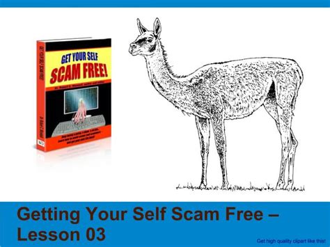 Image result for Back to Life Scam Program Exercises Free