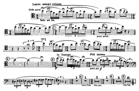 Bassoon: Stravinsky: Rite of Spring (3 Excerpts) – Orchestra Excerpts