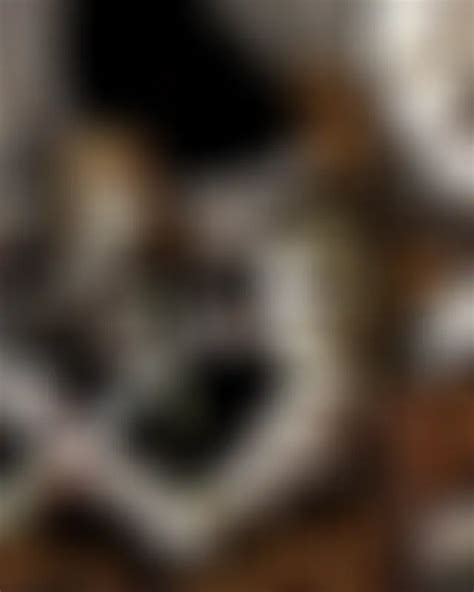 Fear and Hunger Mods - Nexus Mods