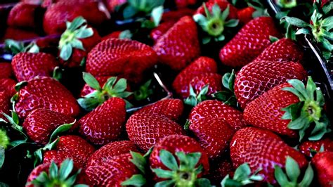 Free Images : plant, fruit, berry, food, red, produce, macro, healthy ...