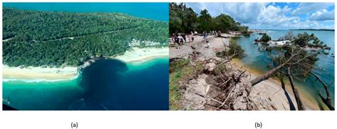 An Integrated Bayesian Risk Model for Coastal Flow Slides Using 3-D ...