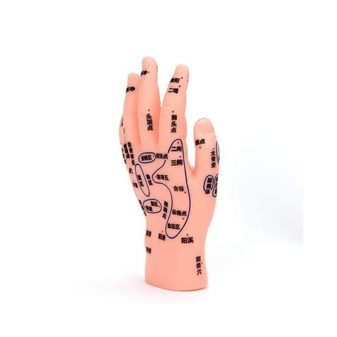 Practice Hand, Hand Meridian Acupuncture Points | Ubuy India