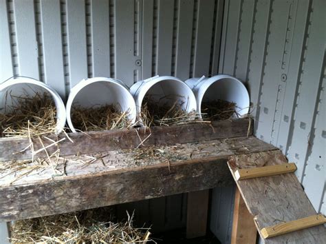 Diy Chicken Nesting Boxes