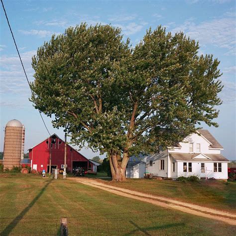 Farm Shop Program 的图像结果