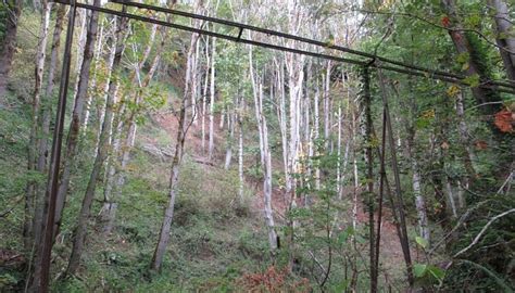 FRANKLIN GHOST TOWN STATE PARK - All You Need to Know BEFORE You Go ...