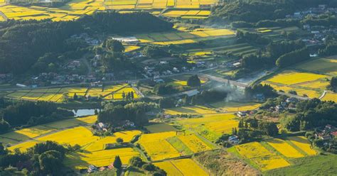 Ishikawa Travel Guide | Ishikawa Tourism - KAYAK