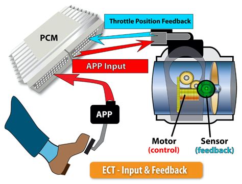 Image result for Electronic Throttle Control Module