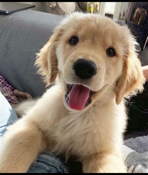 Quanto mi assomigli? (0/100) - YouTube