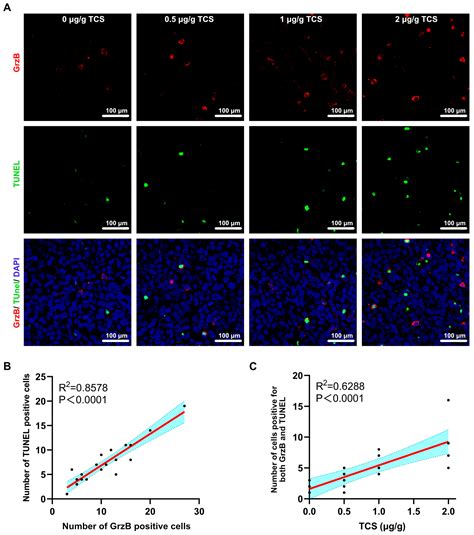 Trichosanthin Promotes Anti-Tumor Immunity through Mediating Chemokines ...