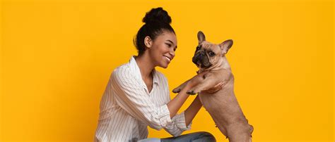 Contact a Veterinarian in Spanish Fort, AL | Spanish Fort Animal Clinic