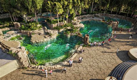 Jacksonville Zoo Jobs