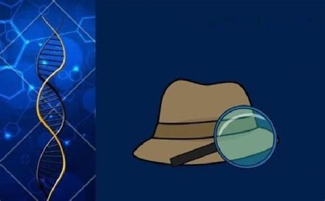 Image result for DNA Solves